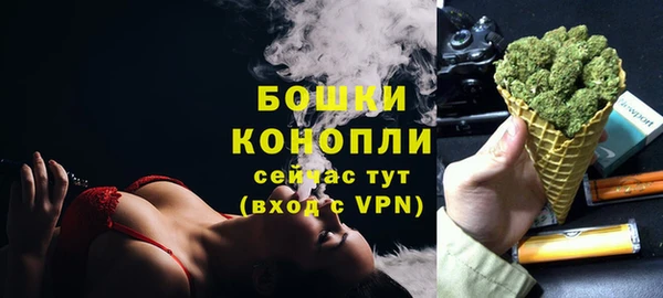 соль ск Абаза