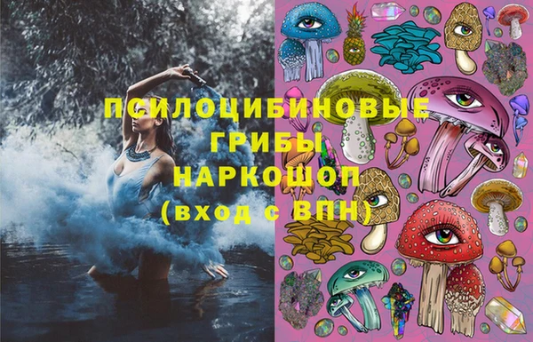 соль ск Абаза