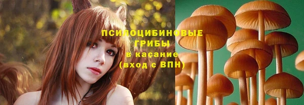 кокс Абинск