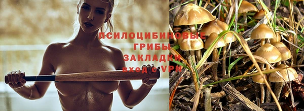 кокс Абинск