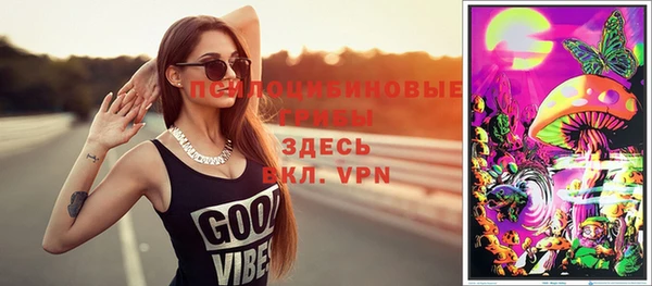соль ск Абаза