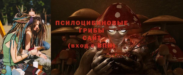 соль ск Абаза