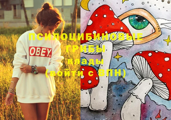 PSILOCYBIN Абдулино