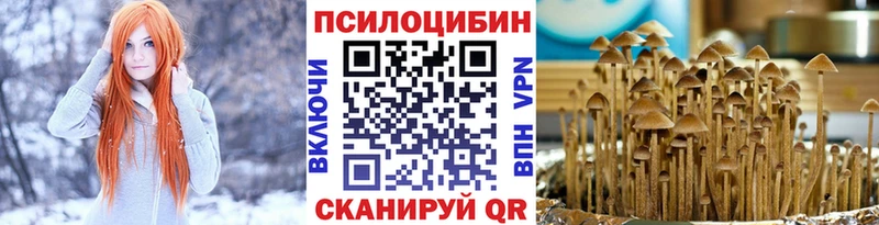 Псилоцибиновые грибы GOLDEN TEACHER  продажа наркотиков  Скопин 