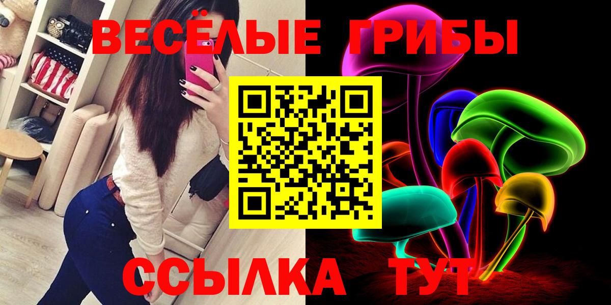 Скопин  Псилоцибиновые грибы MAGIC MUSHROOMS  Вход с VPN 