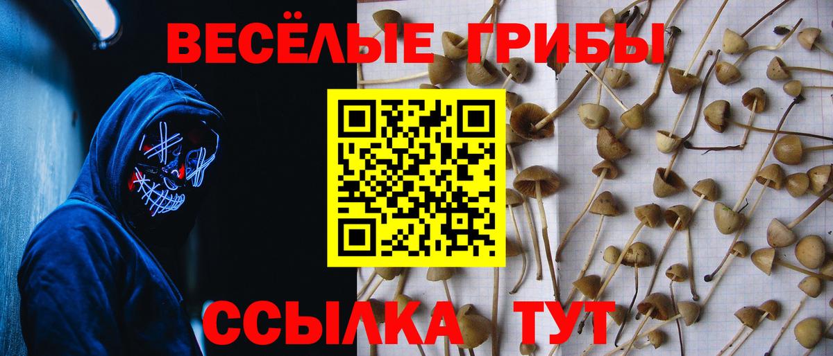 Псилоцибиновые грибы прущие грибы Скопин